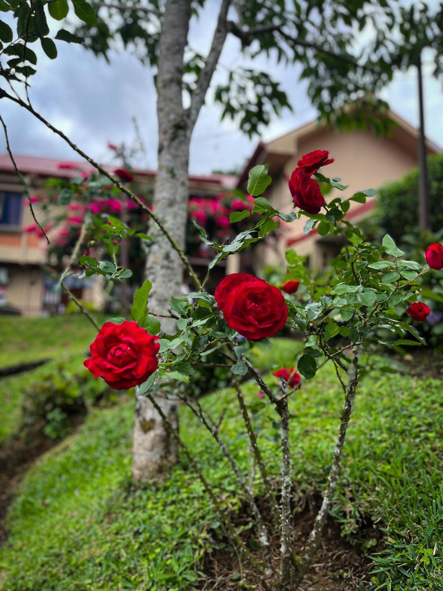 Legacy Boutique Hotel Quesada (Alajuela) Exterior foto